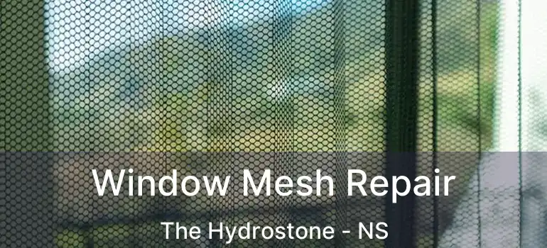  Window Mesh Repair The Hydrostone - NS