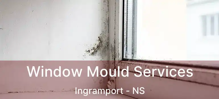  Window Mould Services Ingramport - NS