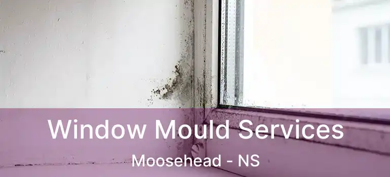  Window Mould Services Moosehead - NS