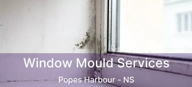  Window Mould Services Popes Harbour - NS