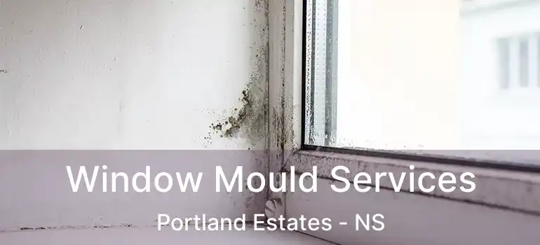  Window Mould Services Portland Estates - NS