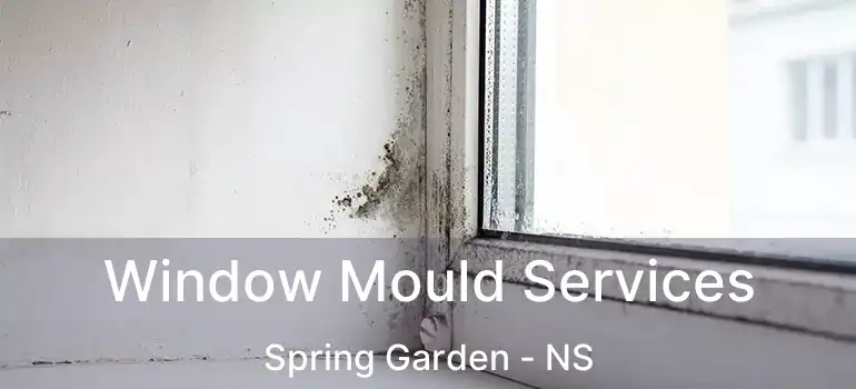  Window Mould Services Spring Garden - NS