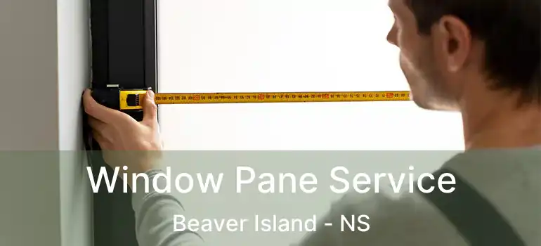  Window Pane Service Beaver Island - NS