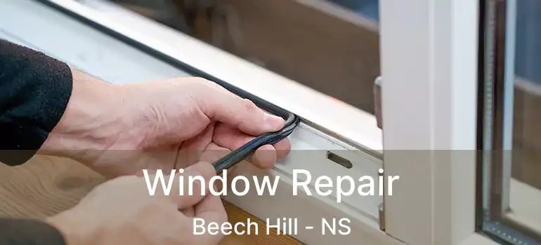  Window Repair Beech Hill - NS