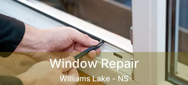  Window Repair Williams Lake - NS