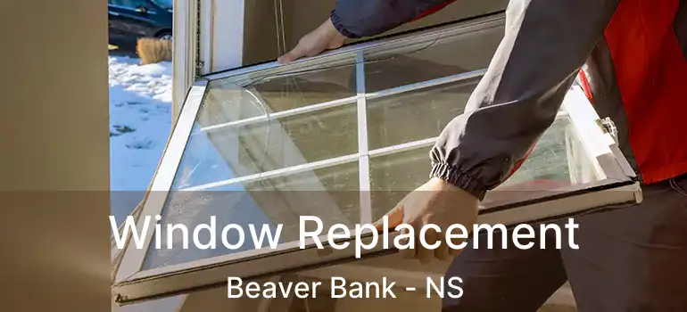  Window Replacement Beaver Bank - NS