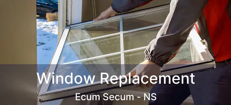  Window Replacement Ecum Secum - NS