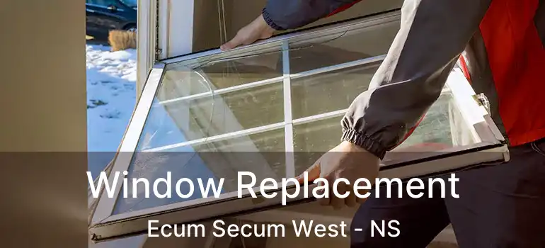 Window Replacement Ecum Secum West - NS