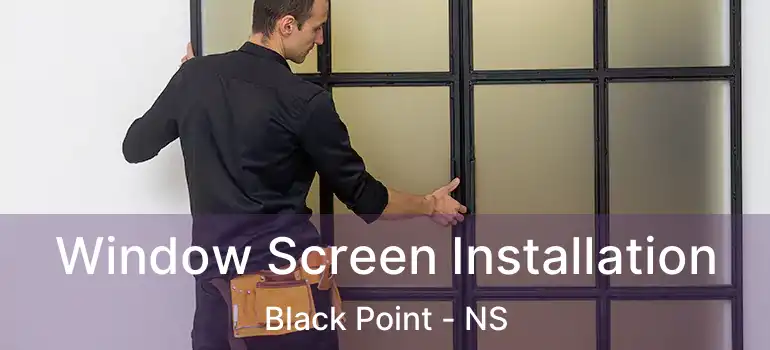  Window Screen Installation Black Point - NS