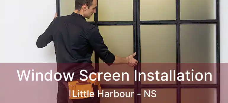  Window Screen Installation Little Harbour - NS