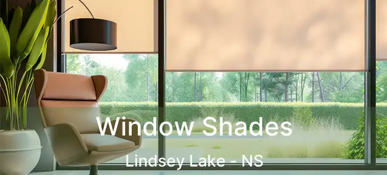  Window Shades Lindsey Lake - NS