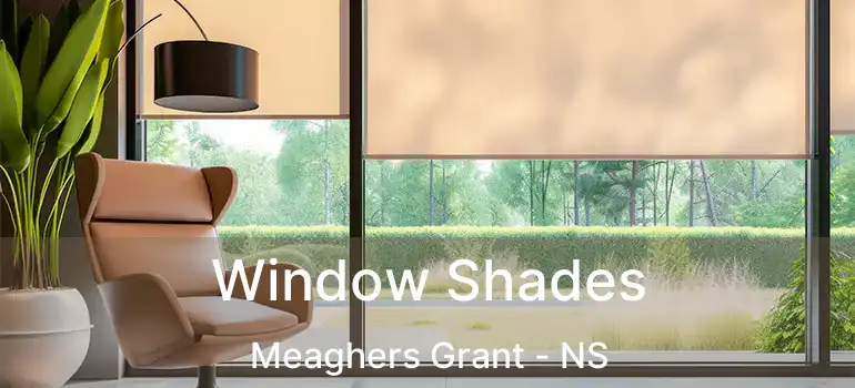 Window Shades Meaghers Grant - NS