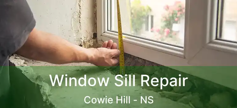  Window Sill Repair Cowie Hill - NS