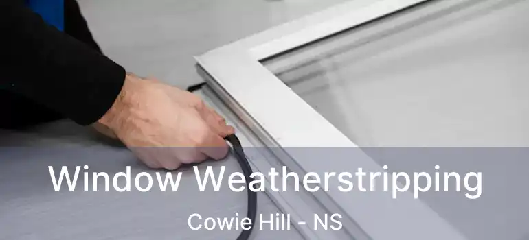  Window Weatherstripping Cowie Hill - NS