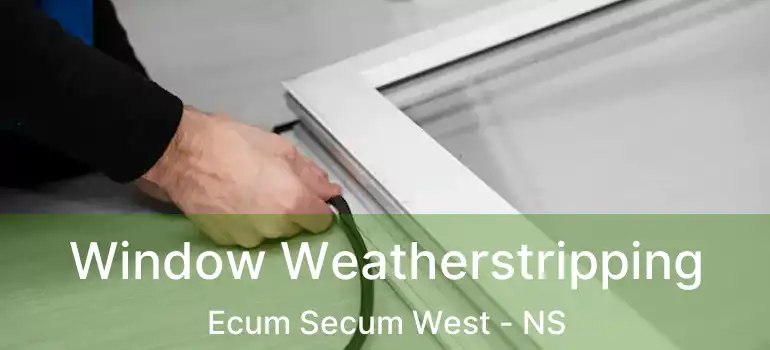  Window Weatherstripping Ecum Secum West - NS