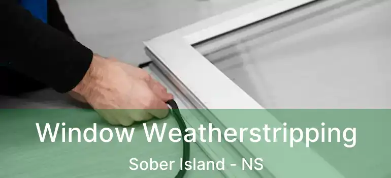  Window Weatherstripping Sober Island - NS
